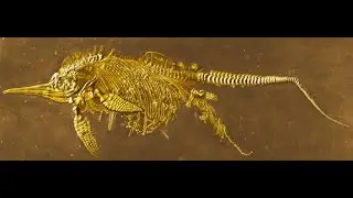 The Age of the Earth, and Fossils, by Dr Richard Kent