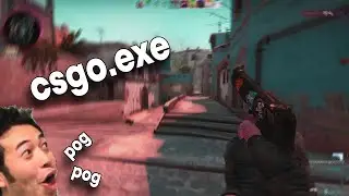 Csgo.exe