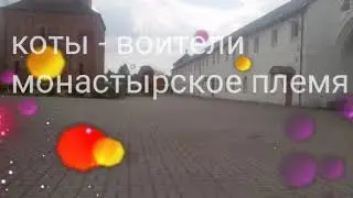 коты воители монастырское племя 1 серия 1 сезон