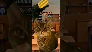 Идея: Yt_Fret #мем #рекомендации #милота #котики #актив