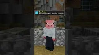 Приватный сервер на 1.21 в комментариях #zenpower #minecraft #roleplay #survival #майнкрафт #сервер