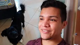 Meu Cachorro me Obedece e nem é Adestrado! - A&E