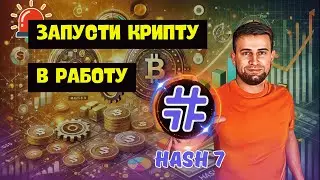 Hash7 в действии: Запуск TON, ETH и SOL
