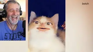 The Filter On The Cat & Fedex Skits WRECKED ME | Josh Darnit