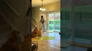 Любящий отец 🤯😇