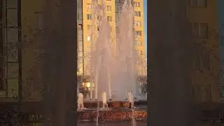 Собака у фонтана