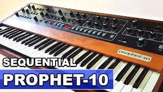 SEQUENTIAL PROPHET-10 REV. 4 - Sounds, Patches & Presets | Analog Synth Demo