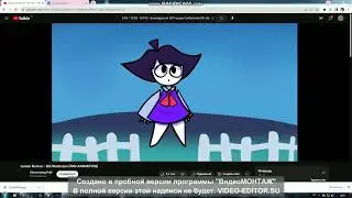 мишцка харвек