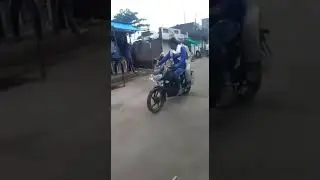 Cock fight funny