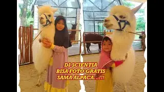 Ada APa di Scientia Square Park Serpong Tangerang