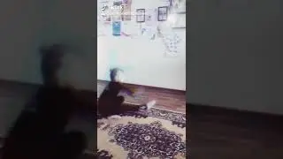 ... SURPRISE...