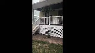 The finish of this old porch