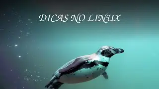 INSTALAÇÃO DA UNITY 3D NO LINUX E O EDITOR V.S.CODE
