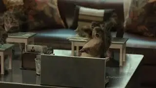 SEARS AD but nothing makes sense - YOUTUBE POOP