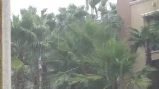 The Rains of Southern California