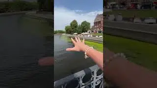 ГДЕ В КАЛИНИНГРАДЕ ЦЕЛУЮТСЯ? 