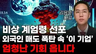 [주식] 비상 계엄령 선포 외국인 매도 폭탄 속 '이 기업' 엄청난 기회 옵니다! [미국주식, 트럼프 주식]