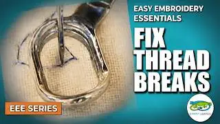 Bird Nests and Breaks? This Changes Everything
