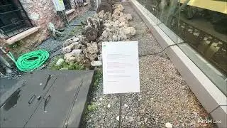Злой Жестко Балакает На Английском