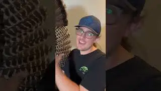 I Mounted My Trophy Turkey! 