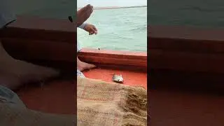 Fishing 2k24 #Shorts #videos