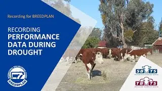 Recording Performance Data During Drought