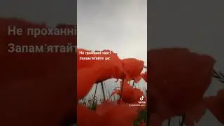 Не проханні гості, запам'ятайте це!