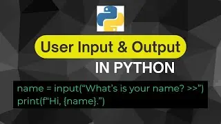 Python Input & Output – Master print() and input()