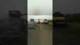 Выехали на зерновые!