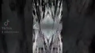 The Insmoke - Gatek