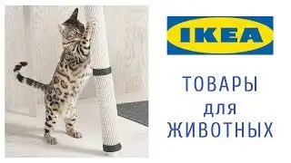 ИКЕА для ЖИВОТНЫХ | Товары для питомцев в IKEA