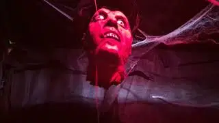 What inside in the fear room for 5 bucks