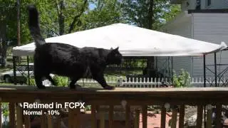 FCPX Retiming - Normal, Frame Blend or Optical Flow?
