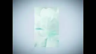 Fluxxwave (Lay With Me) - The Dive (spedup + pitched)