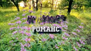 Романс - Romance - My life is in verse - Моя жизнь в стихах