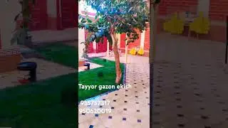 tayyor gazon ekish #youtubeshorts #nature #instagram