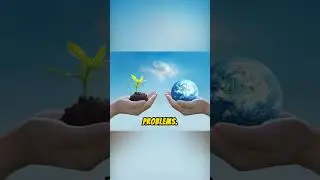 Scope Of Environmental Sciences In Pakistan
