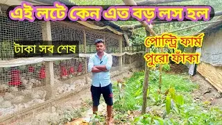 পোল্ট্রি চাষে কেন এত বড় লস হল।। তাহলে ফার্ম  কি বন্ধ হয়ে যাবে এবার।।