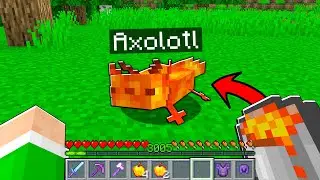 I PLAYED MINECRAFT WITH AXOLOTL FROM EVERY BLOCK!