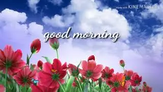 Good morning gif