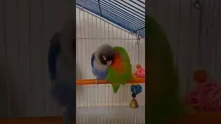 just video:3 my