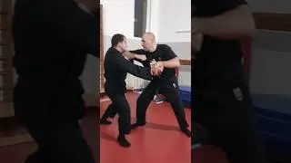Possibilities against reverse knife grip. #ninjutsu #shadowwarrior #bujinkan #ninja #knife #tanto