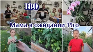 UNPACKING PARCELS●HOW ARE THINGS IN THE VEGETABLE GARDEN●HOW I WATER ORCHIDS#●180