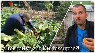 Kürbis frisch aus dem Ofen | Alternative zur Kürbissuppe | Ofenkürbis | mit Outtake