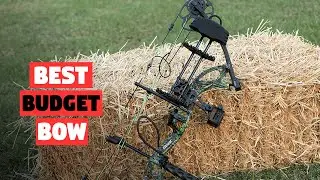Best Budget Bow for beginners/hunting in 2023 - Top 5 Reviews | comfortable, 4-finger handheld Bow