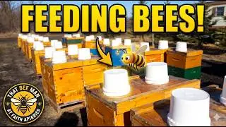 Feeding Bees April 13 - That Bee Man