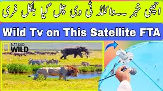 Wild tv FTA on This Satellite 📡 |amazing FTA Satellite|How To Set animal FTA Satellite|Pak, apstar