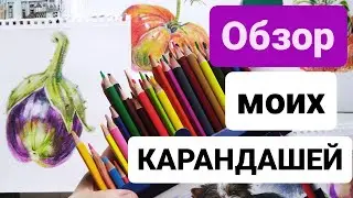 Какие карандаши нужны для отпуска. Старт ЧЕЛЛЕНДЖА завтра
