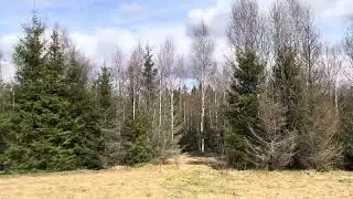 17 апреля 2024 г.