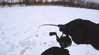 Золотая рыбка не лезет в лунку!